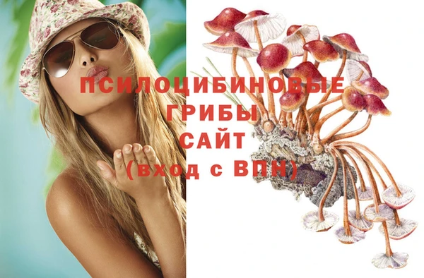 мет Белокуриха