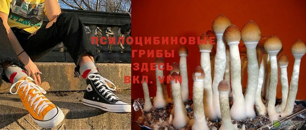 мет Белокуриха