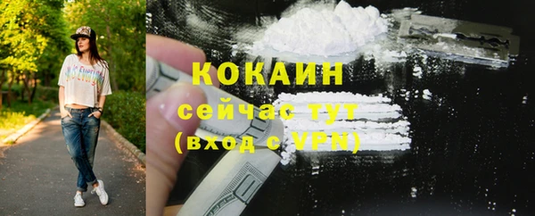 ECSTASY Богданович
