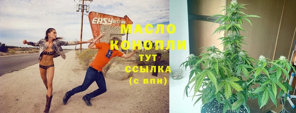 ECSTASY Богданович
