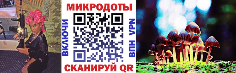 закладка Боровск Галлюциногенные грибы Psilocybe